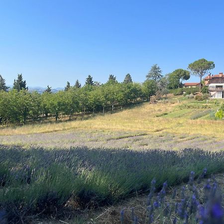 Agriturismo Villa Beatrice Mondavio Extérieur photo